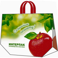 Пакет ПЭ с петлевой ручкой 60х50+20 (160) Интерпак ПВД ЭКО сумка (Большое яблоко) Россия