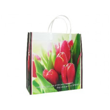 Подарочные пакеты 30x30+10 из мягкого пластика (BAM98 Tulips) Россия